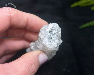 Druzy Chalcedony with Apophyllite #15