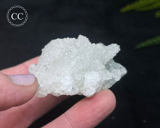 Druzy Chalcedony with Apophyllite #13