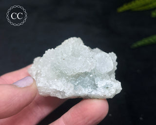 Druzy Chalcedony with Apophyllite #13