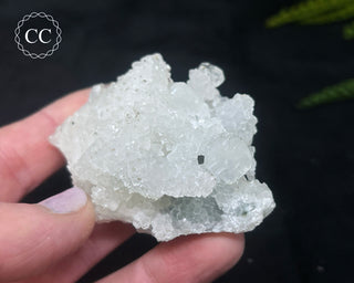 Druzy Chalcedony with Apophyllite #13