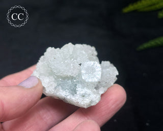 Druzy Chalcedony with Apophyllite #13