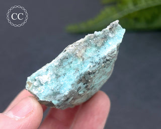 Druzy Chrysocolla and Quartz Specimen #3