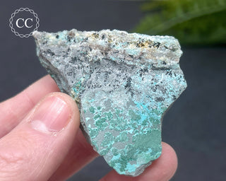 Druzy Chrysocolla and Quartz Specimen #3