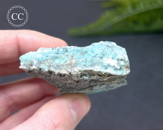 Druzy Chrysocolla and Quartz Specimen #3