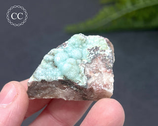 Druzy Chrysocolla and Quartz Specimen #6