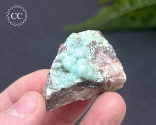 Druzy Chrysocolla and Quartz Specimen #6