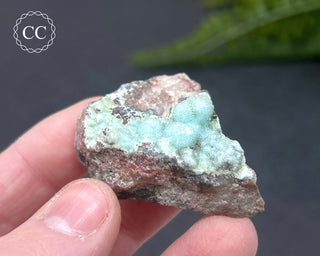 Druzy Chrysocolla and Quartz Specimen #6