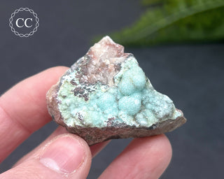 Druzy Chrysocolla and Quartz Specimen #6