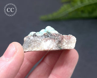 Druzy Chrysocolla and Quartz Specimen #6