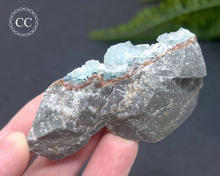 Druzy Chrysocolla and Quartz Specimen #1