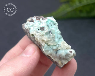 Druzy Chrysocolla and Quartz Specimen #9