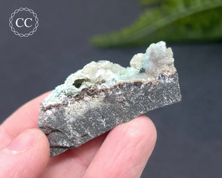 Druzy Chrysocolla and Quartz Specimen #9