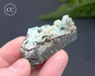 Druzy Chrysocolla and Quartz Specimen #9