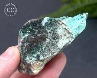 Druzy Chrysocolla and Quartz Specimen #10