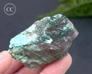 Druzy Chrysocolla and Quartz Specimen #10