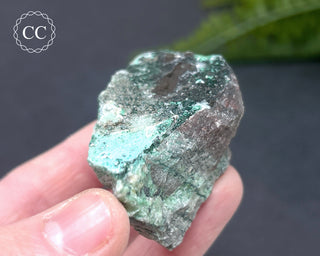 Druzy Chrysocolla and Quartz Specimen #10