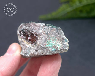 Druzy Chrysocolla and Quartz Specimen #10