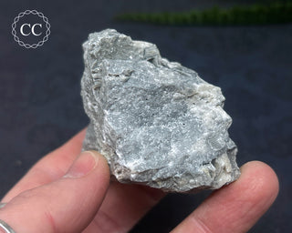 Druzy Fossil Coral #5