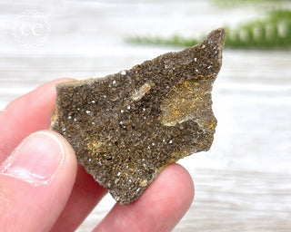 Druzy Fossil Wood Specimen #15