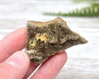 Druzy Fossil Wood Specimen #15