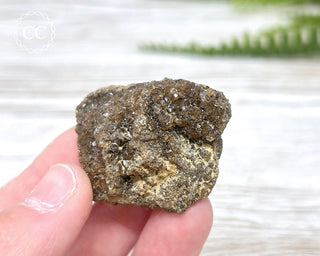 Druzy Fossil Wood Specimen #10