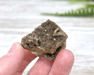 Druzy Fossil Wood Specimen #11