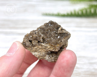Druzy Fossil Wood Specimen #11
