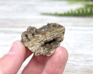Druzy Fossil Wood Specimen #11
