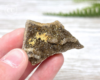 Druzy Fossil Wood Specimen #15