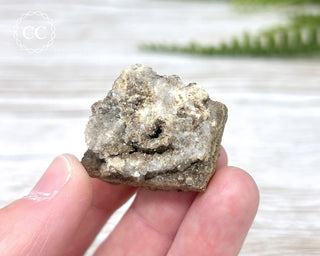Druzy Fossil Wood Specimen #11