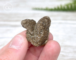 Druzy Fossil Wood Specimen #12