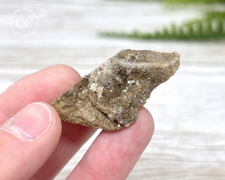 Druzy Fossil Wood Specimen #2