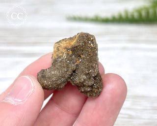 Druzy Fossil Wood Specimen #12