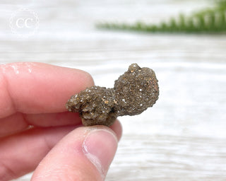 Druzy Fossil Wood Specimen #12