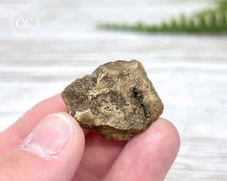 Druzy Fossil Wood Specimen #13