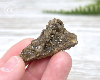 Druzy Fossil Wood Specimen #14