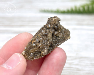 Druzy Fossil Wood Specimen #14