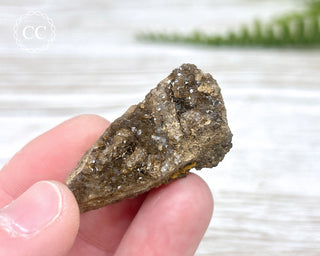 Druzy Fossil Wood Specimen #14