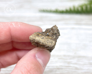 Druzy Fossil Wood Specimen #14