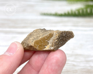 Druzy Fossil Wood Specimen #2