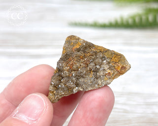 Druzy Fossil Wood Specimen #1