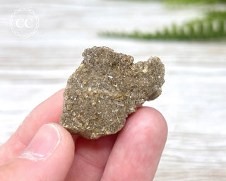 Druzy Fossil Wood Specimen #3