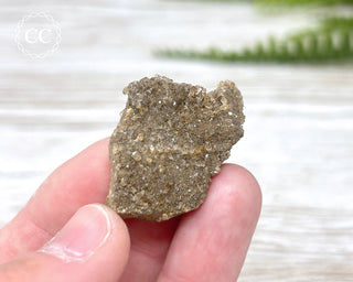 Druzy Fossil Wood Specimen #3