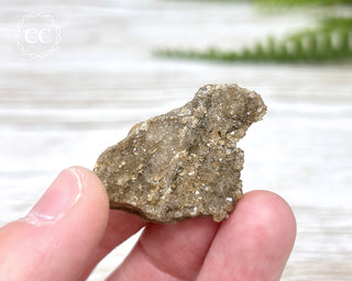 Druzy Fossil Wood Specimen #3
