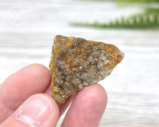 Druzy Fossil Wood Specimen #1