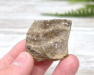 Druzy Fossil Wood Specimen #4