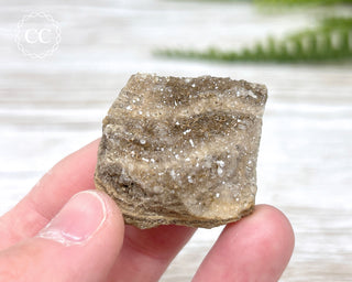 Druzy Fossil Wood Specimen #4