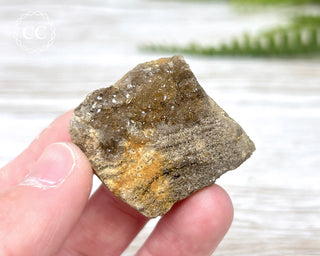 Druzy Fossil Wood Specimen #4