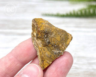 Druzy Fossil Wood Specimen #1