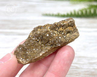 Druzy Fossil Wood Specimen #5